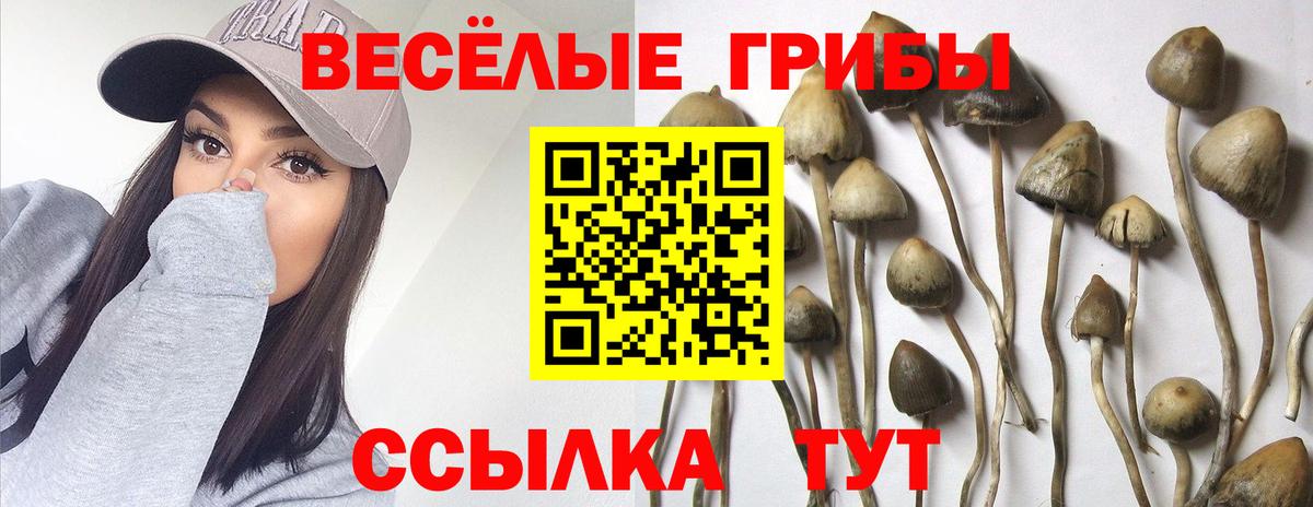 Галлюциногенные грибы ЛСД  Псилоцибиновые грибы мицелий  Вход с VPN  Елабуга 